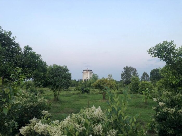 فرجام وعده وزیر میراث فرهنگی برای احیای باغ ۳۳ هکتاری رامسر