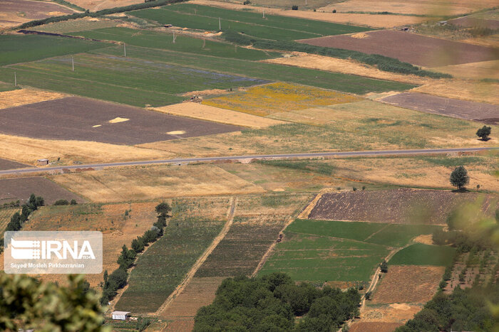 کشف سموم ممنوع درفروشگاههای غیرمجاز محصولات کشاورزی اسلامشهر