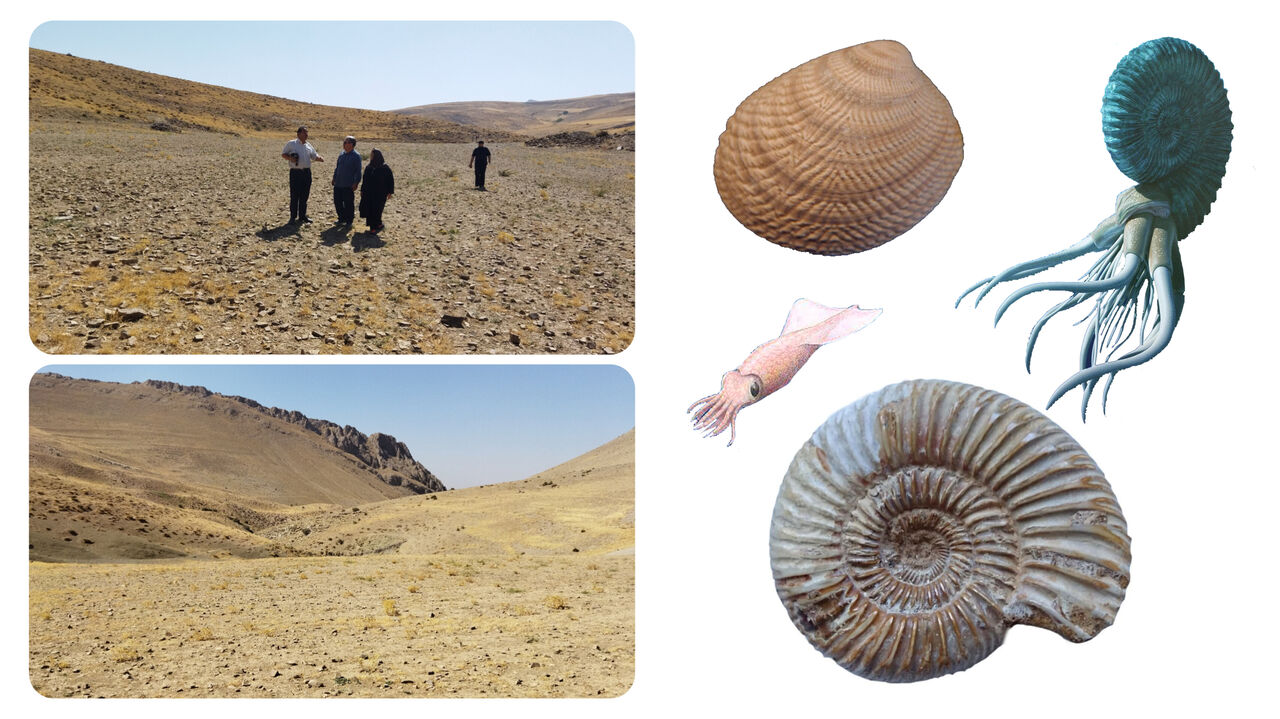طبیعتگردی در مراغه؛ «گویدرق» گنجینهای از فسیلهای دوره ژوراسیک طبیعتگردی در مراغه؛ «گویدرق» گنجینهای از فسیلهای دوره ژوراسیک