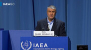 One-fifth of all IAEA inspections conducted in Iran: Nuclear chief