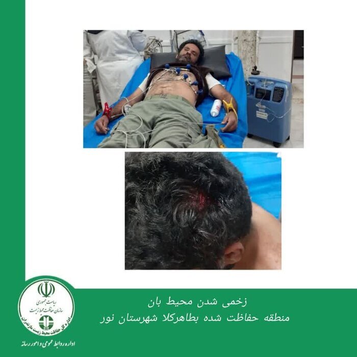 محیطبانان مجروح شهرستان نور از بیمارستان مرخص شدند