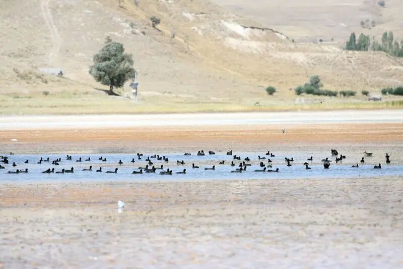 مدیریت تالاب ها؛ رسالتی فرابخشی و همگانی مدیریت تالاب ها؛ رسالتی فرابخشی و همگانی