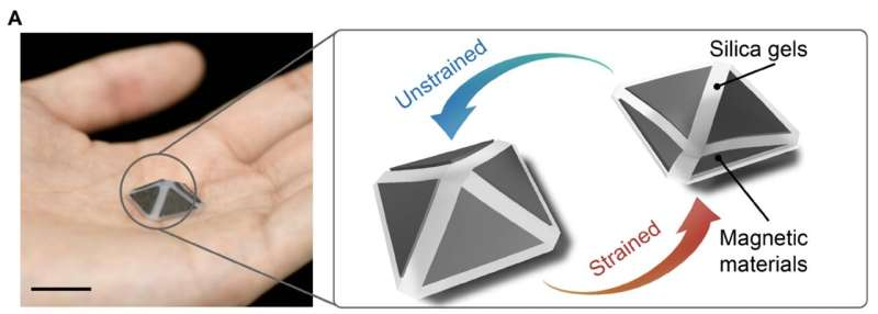 ربات نرم جدید با سرعت زیاد میپَرَد + فیلم