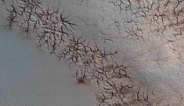 راز «عنکبوت» مریخی در آزمایشگاه ناسا برملا شد