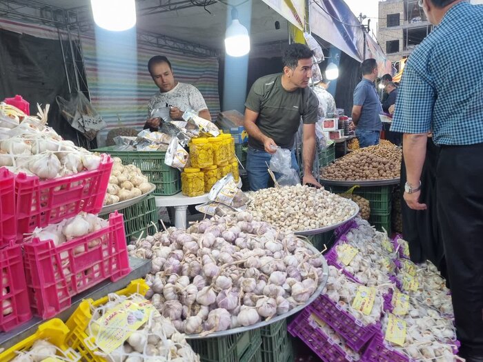 جشنواره ای با طعم سیر