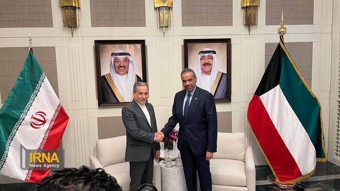 عراقچی: کشورهای منطقه برای جلوگیری از شرارتهای اسرائیل با یکدیگر همکاری کنند + فیلم