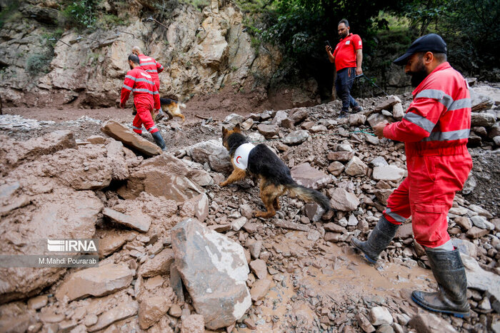 امدادرسانی هلالاحمر مازندران به چهار هزار و ۳۹۲ حادثه دیده