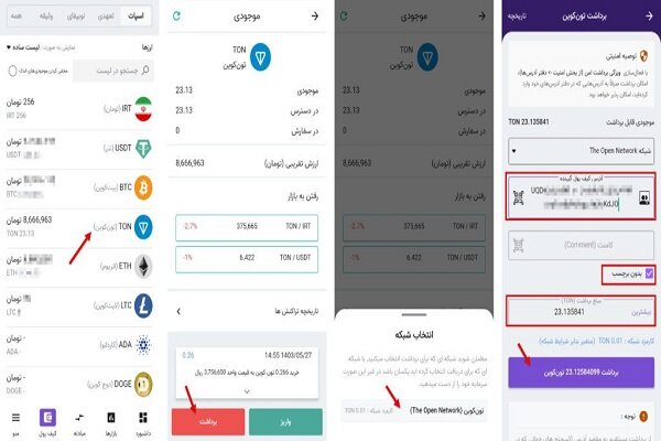 پنج گام مهم برای استقبال از همستر در نوبیتکس