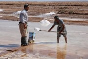 با نمک کام خود را شیرین می‌کنند