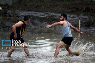 Paddy field sports fest in northern Iran