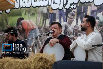 Paddy field sports fest in northern Iran