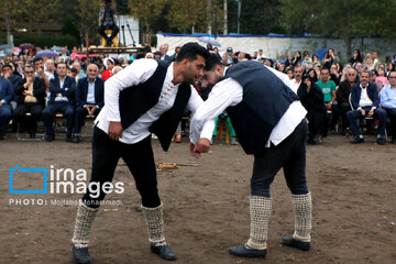 Paddy field sports fest in northern Iran