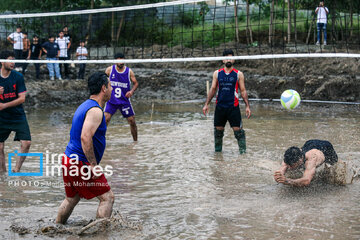 Paddy field sports fest in northern Iran