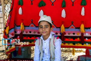 Nomad school in south of Iran