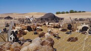  فیلم| جلوه‌هایی از زندگی عشایری در دلفان