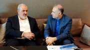 Iran's minister of energy to attend BRICS energy ministers forum in Moscow