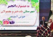 ثبت رکورد تاریخی برداشت گندم در لرستان