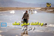 فیلم | برداشت سنتی نمک از «کال شور» جاجرم