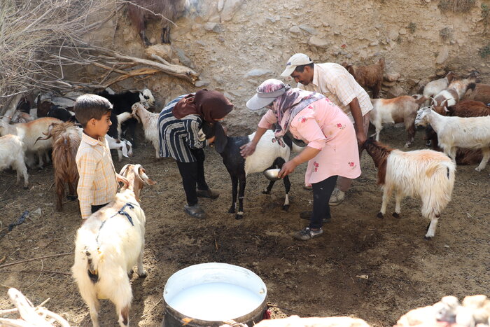 سفر به آنسوی قله جُفتان