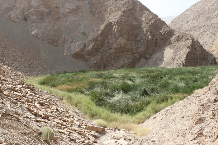 سفر به آنسوی قله جُفتان