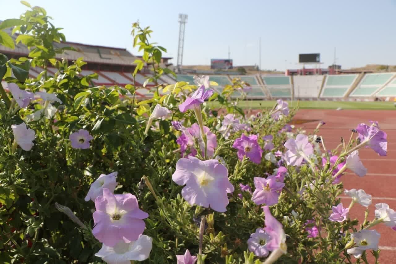 دستور وزیر ورزش برای رفع مشکلات ورزشگاه یادگار امام تبریز دستور وزیر ورزش برای رفع مشکلات ورزشگاه یادگار امام تبریز