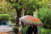 Autumn rain in Tehran