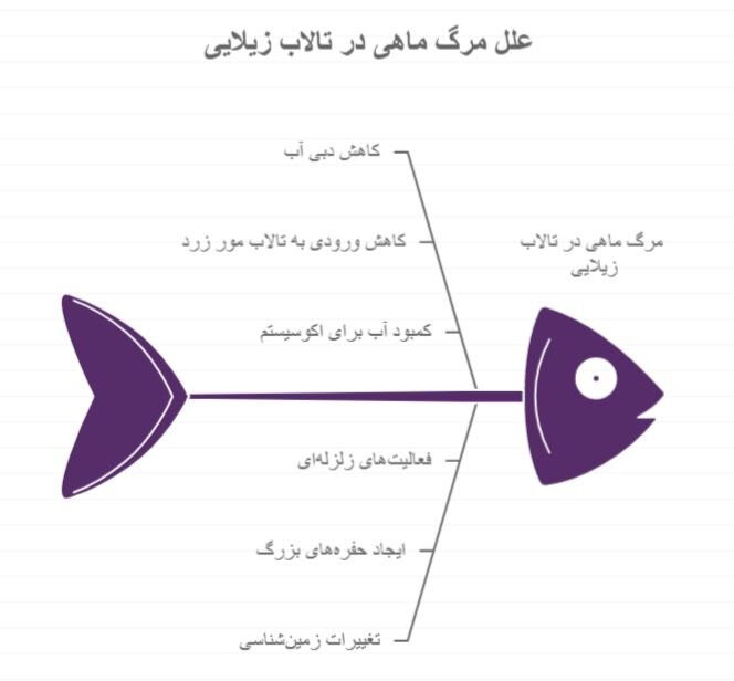 تلف شدن هزاران قطعه ماهی در تالاب زیلایی