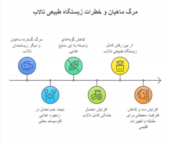 تلف شدن هزاران قطعه ماهی در تالاب زیلایی