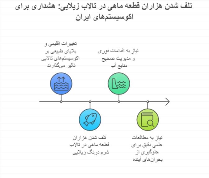 تلف شدن هزاران قطعه ماهی در تالاب زیلایی