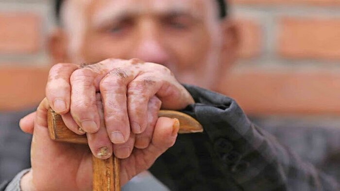 پیوند «نیاکان و نوادگان»؛ نسخه گذار از چالش های جمعیتی