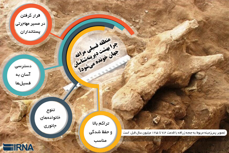 منطقه فسیلی مراغه چرا بهشت دیرینهشناسان جهان خوانده میشود؟ منطقه فسیلی مراغه چرا بهشت دیرینهشناسان جهان خوانده میشود؟