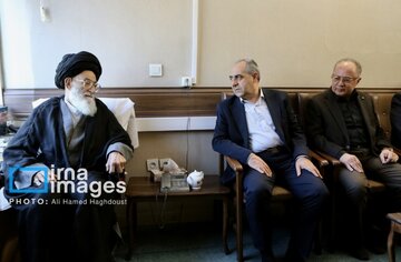 معاون پارلمانی رئیس جمهور: شهید آیت الله آل هاشم الگویی برای تمام مسئولان است