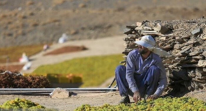 "دره جوزان" ملایر بال توسعه گردشگری ملایر