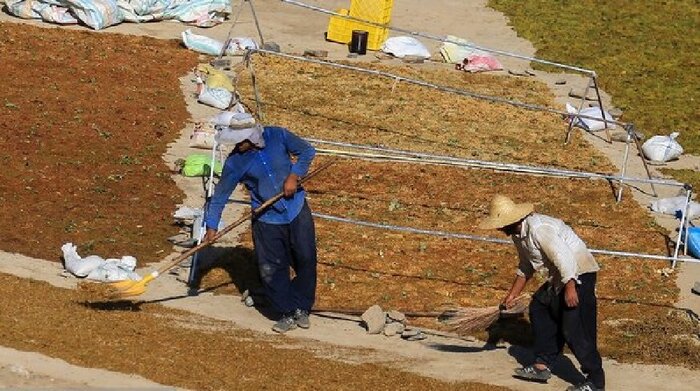 "دره جوزان" ملایر بال توسعه گردشگری ملایر