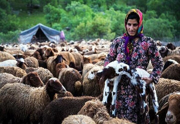 نوای زندگی عشایر در کوه و دشت لرستان