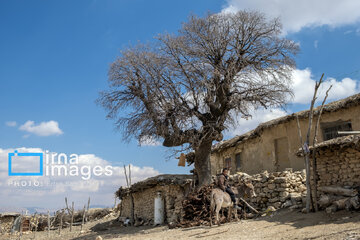 Village life