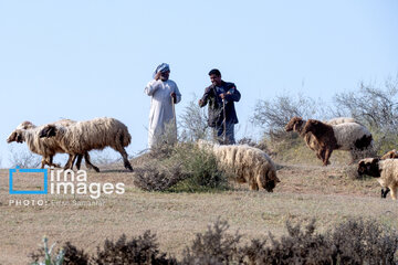 Village life