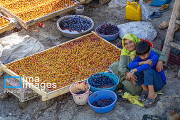 Village life