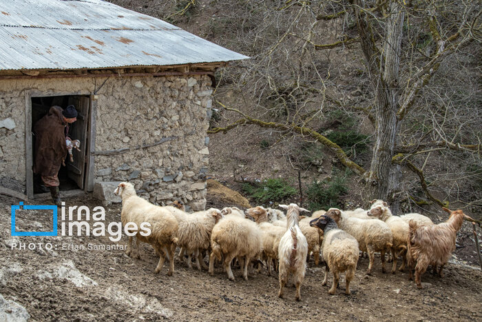 ایران پیشرو در ساخت بیمارستان/مهاجرت سالانه ۲۰ میلیون نفر به دلیل تغییر اقلیم