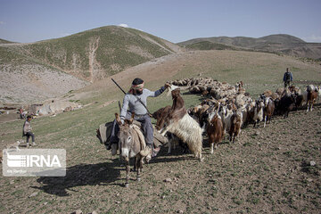 بیش از ٩۵ درصد عشایر اصفهان کوچ کردند