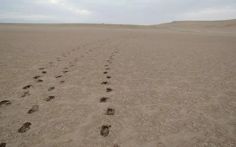 "کویر مصر" اصفهان؛زیبای بیادعا با پهنهای از سکوت