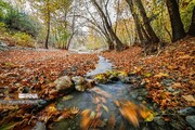 غبار صبحگاهی و وزش باد پدیده غالب جوی همدان