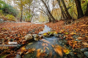 غبار صبحگاهی و وزش باد پدیده غالب جوی همدان