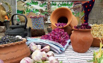 صادرات ۶ هزار کیلوگرم گیاه دارویی گل گاوزبان از رامسر به خارج از کشور