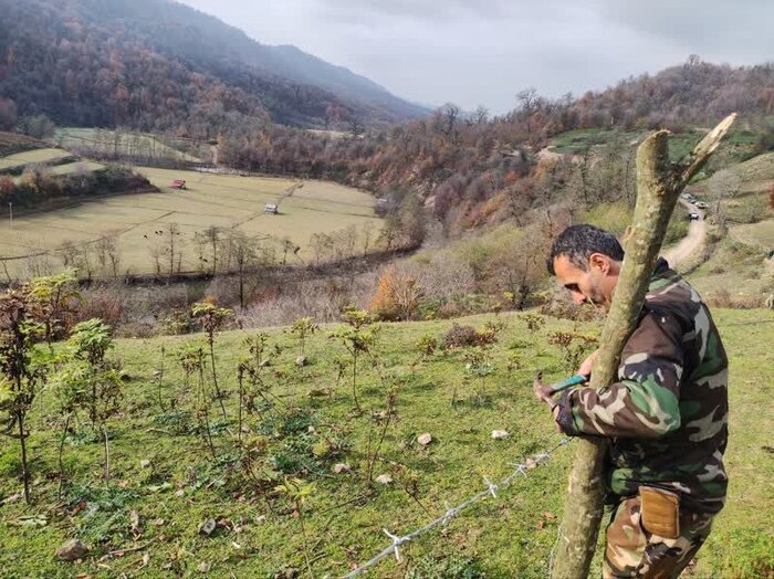 طمعی به گستره جنگل و مرتع مازندران