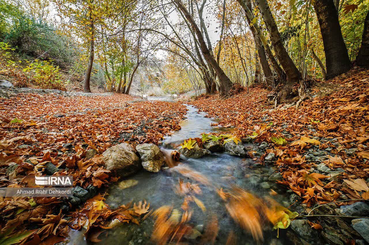 دمای کمینه در همدان افزایشی است