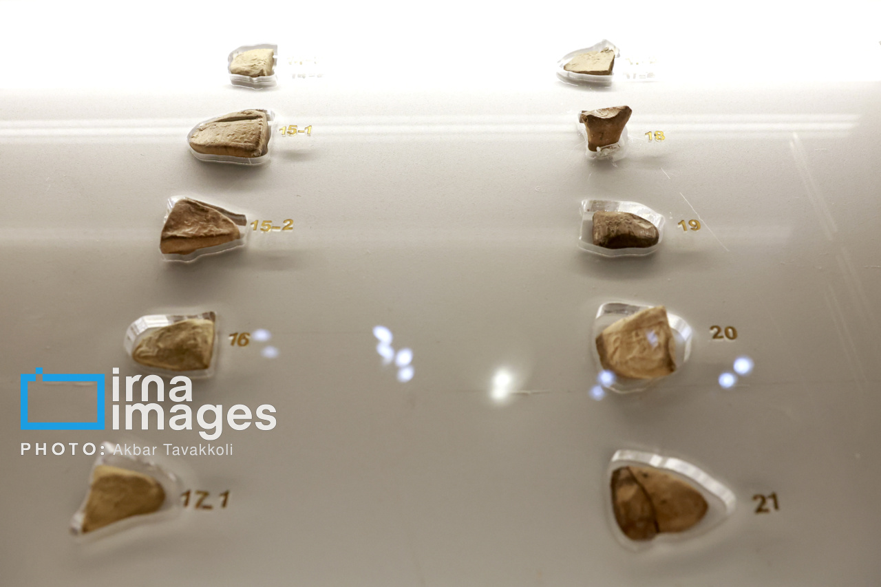 وزیر میراث فرهنگی: الواح هخامنشی متعلق به ملت ایران است + فیلم