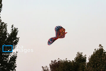 Kite Festival in Yazd