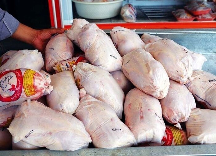 جایگاه ممتاز مازندران در تنظیم بازار گوشت مرغ تهران