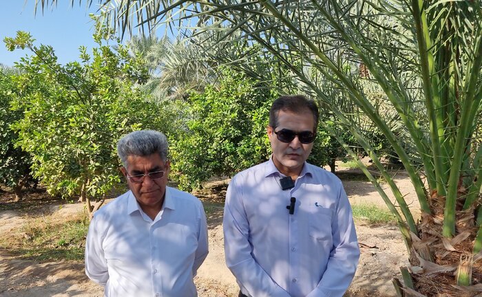 بسیج فناوری علیه قاتل نخلها+فیلم